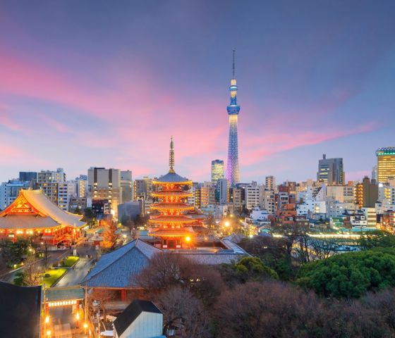 Skyline sunset Tokyo