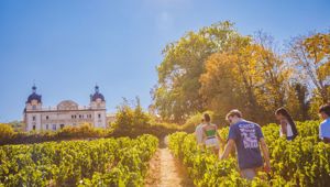 Chateau France Contiki