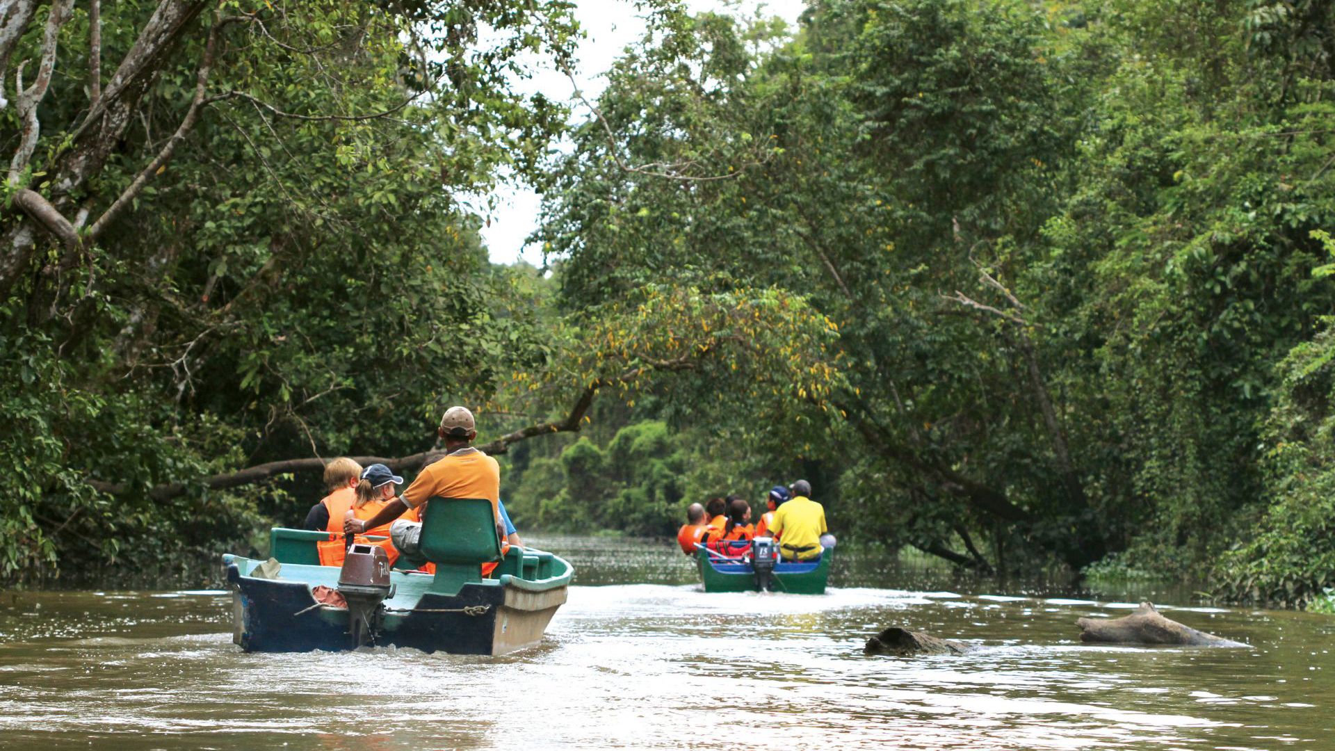 Kinabatangan River - Total Holiday Options