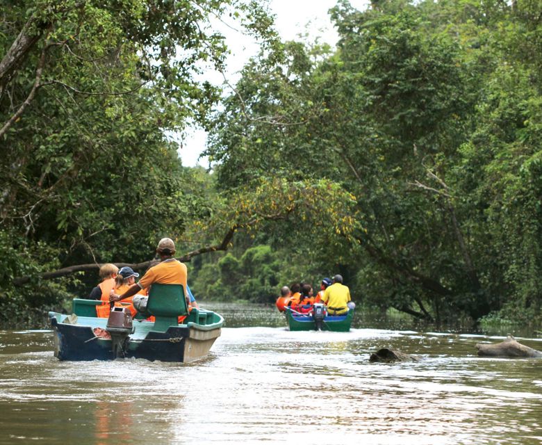 Kinabatangan River - Total Holiday Options