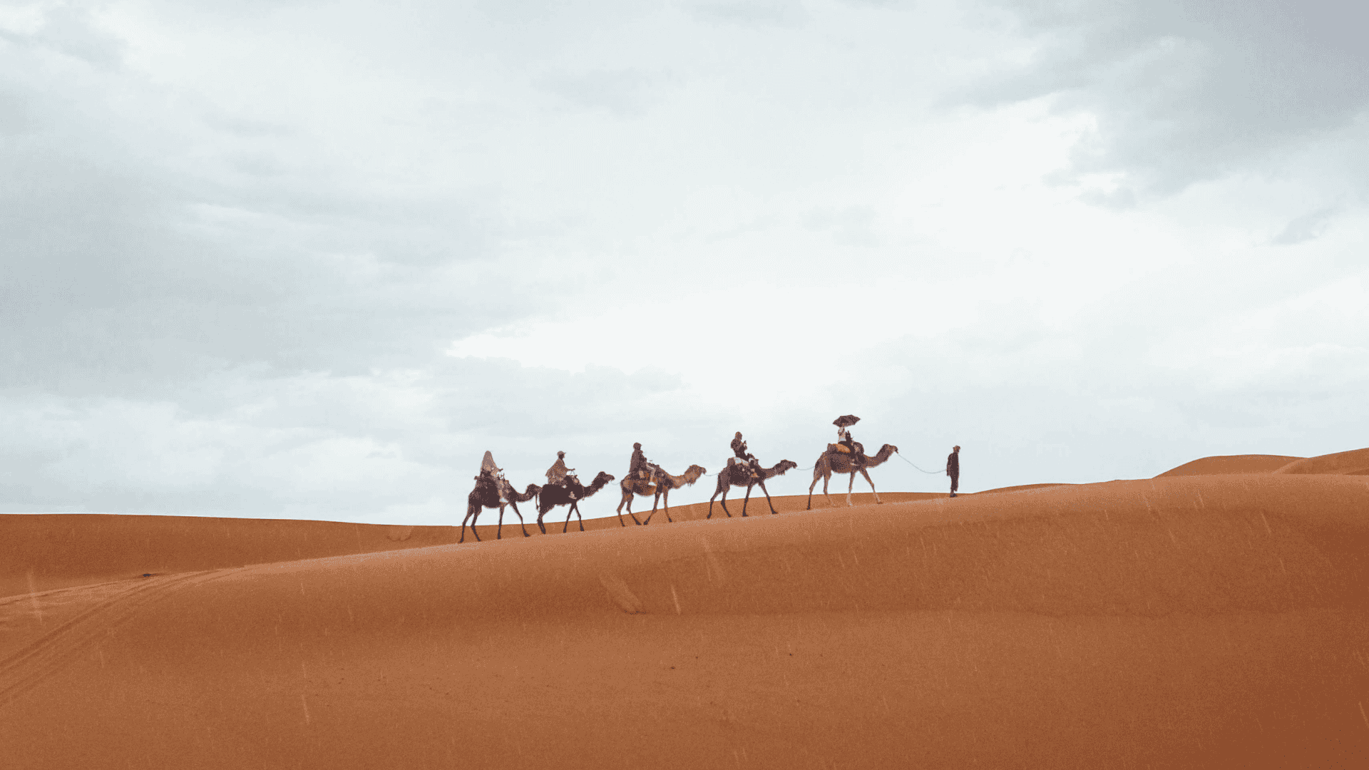 Camel Ride