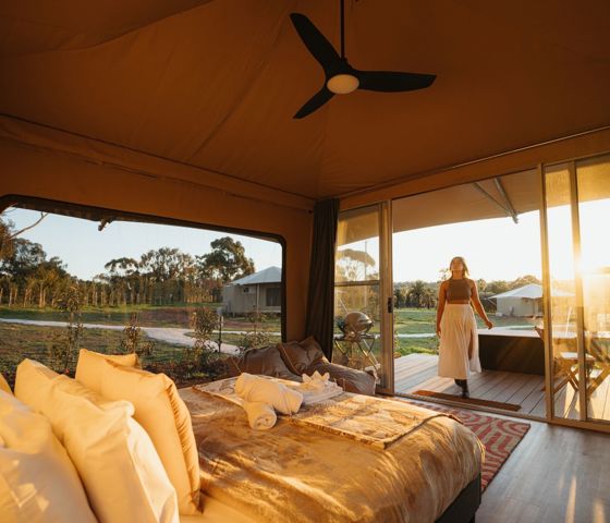 CABN CANVS Seppeltsfield Barossa Interior