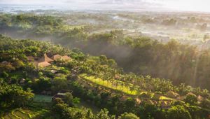 Maya Ubud Resort & Spa - Aerial View