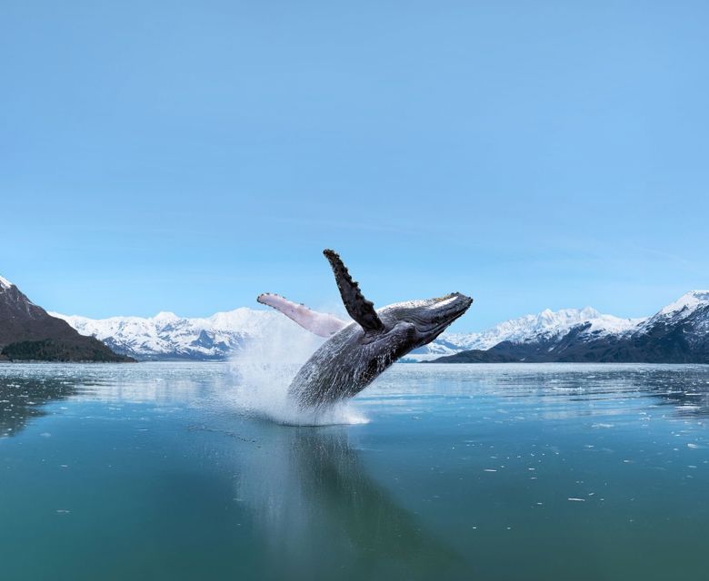 Remote Wonders - Discover Luxury Adventures