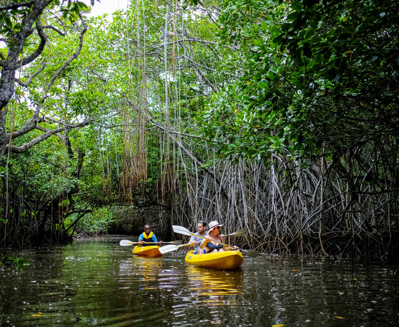 Give back to the Coastline