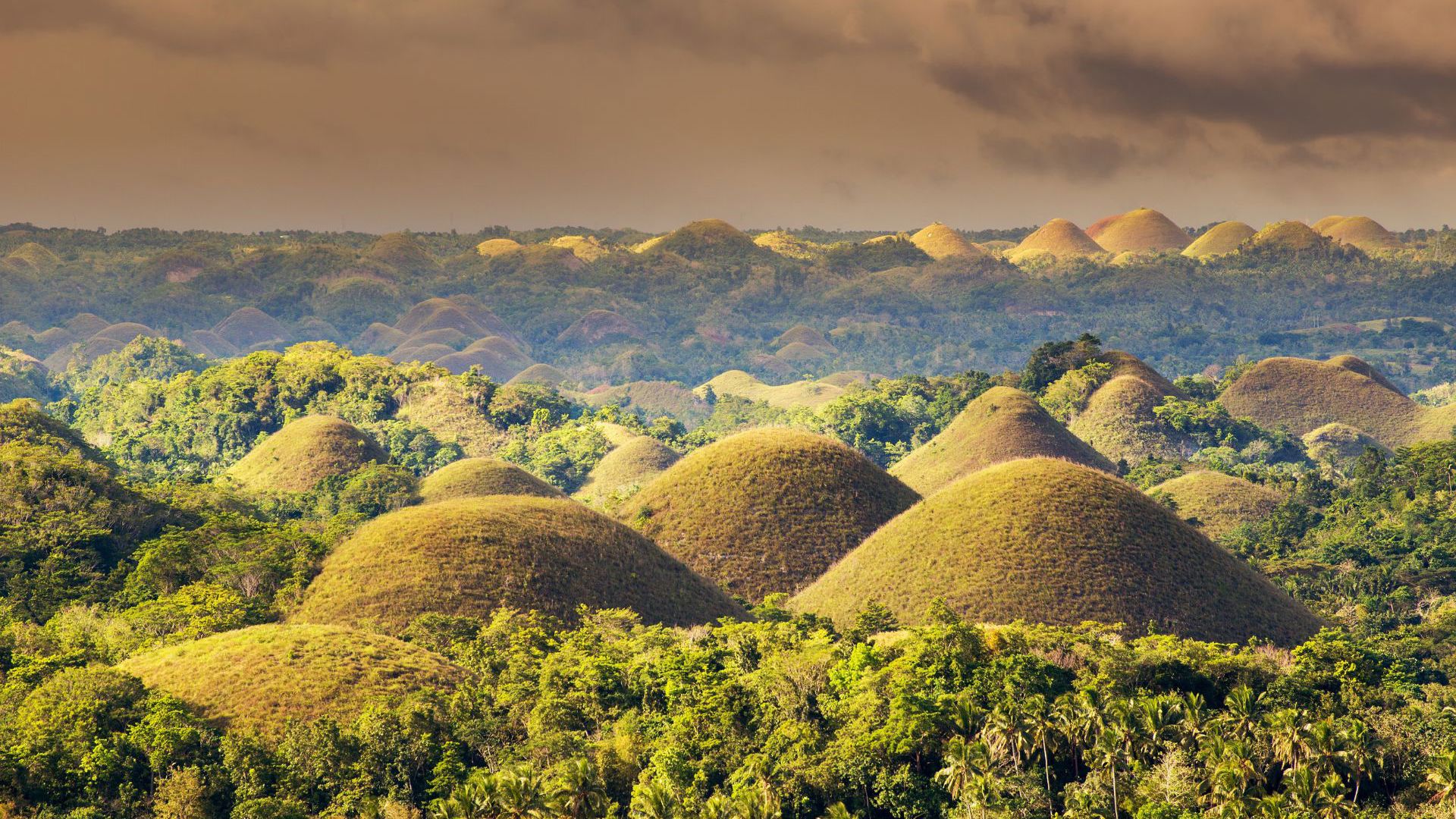The Chocolate Hills are found in Bohol, Philippines. Image Credit: Getty