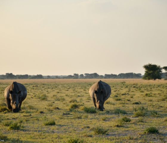Sunway Botswana Khama Rob Swanepoel_DSC9669