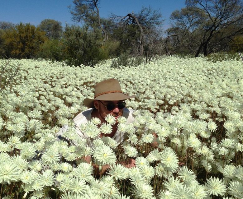 WA Wildflowers 1