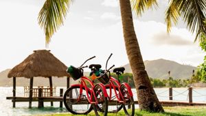 Musket Cove Bikes