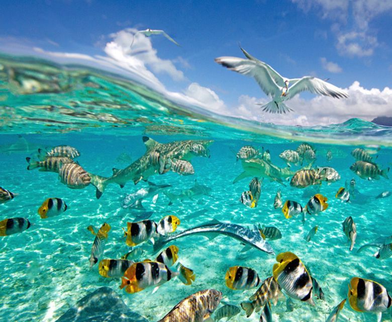 Tahiti FAQs