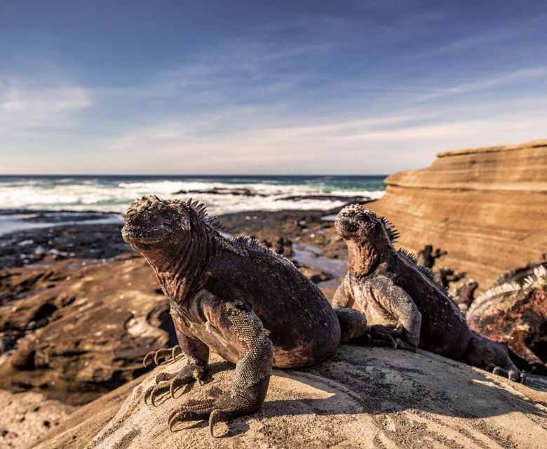 Abercrombie & Kent - Ultimate Galapagos (Getty Images 1329616198)