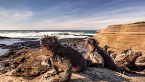Abercrombie & Kent - Ultimate Galapagos (Getty Images 1329616198)