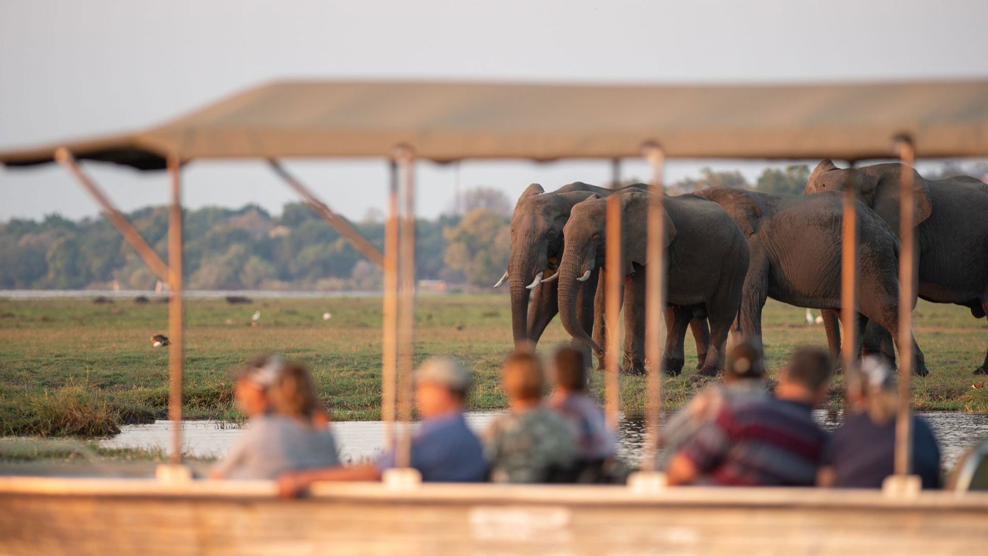 Sunway Botswana Chobe cruise Bruce Taylor-5073