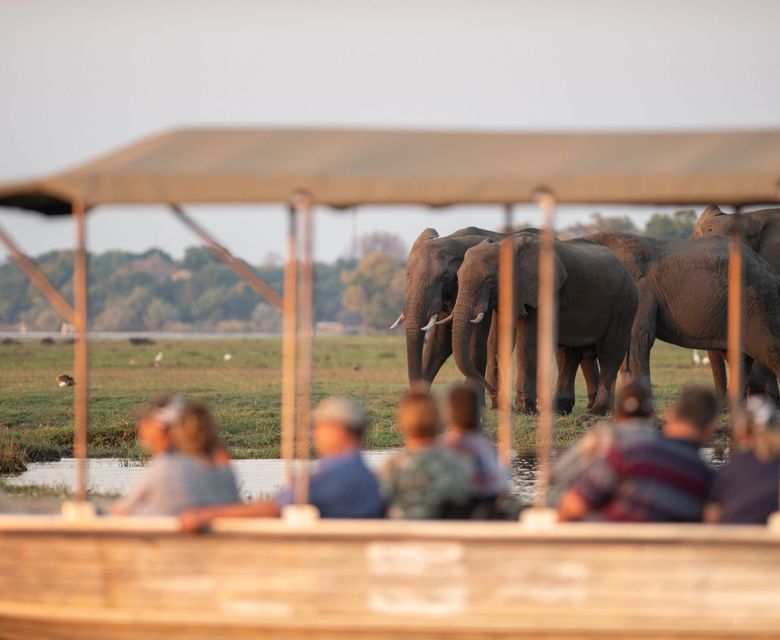 Sunway Botswana Chobe cruise Bruce Taylor-5073