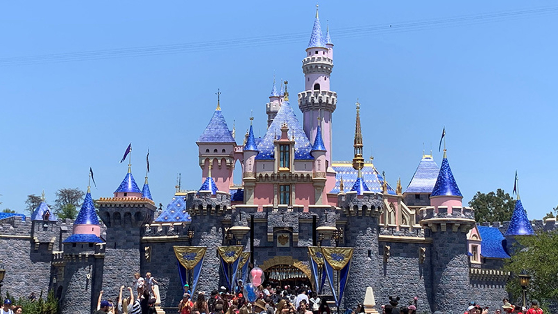 Disneyland Castle - Image credit: Bridget