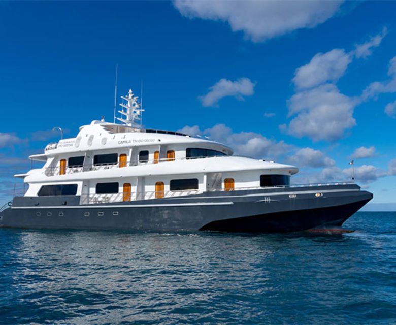 Galapagos Cruise with Wendy Petrie and Viva Expeditions