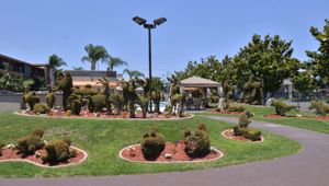 Best Western Plus Stovall's Inn - Gardens