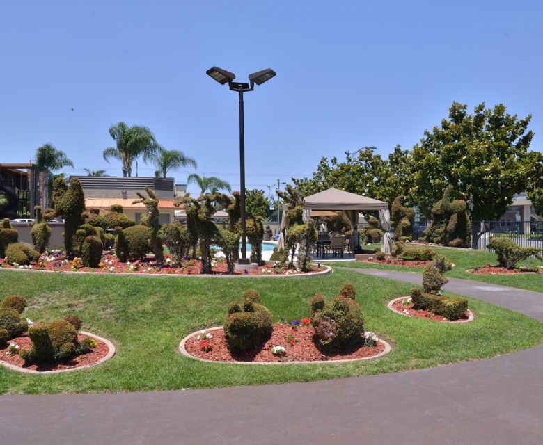 Best Western Plus Stovall's Inn - Gardens