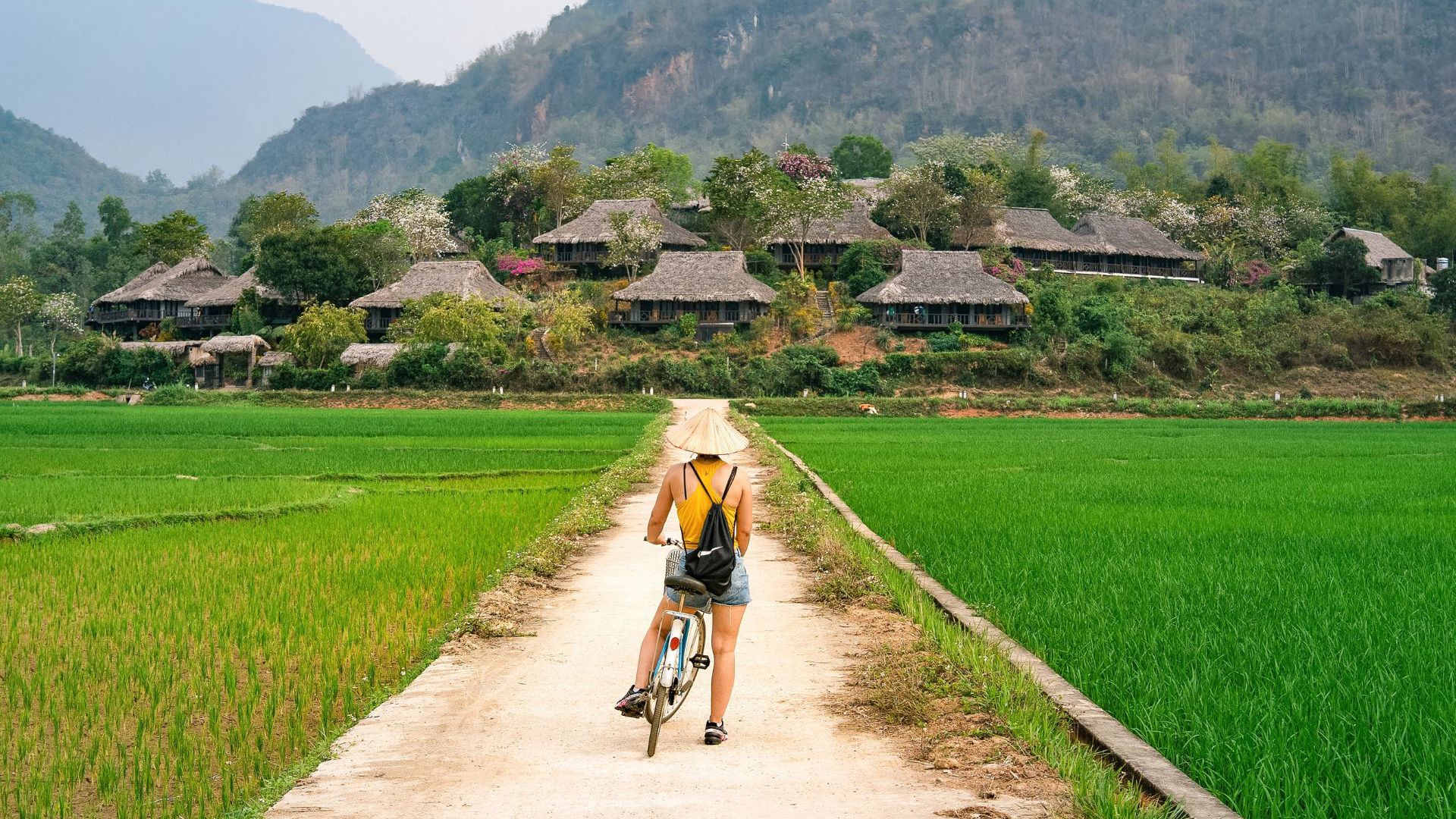Hoi An Biking Tour - Wide Eyed Tours