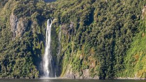 Milford Sound Waterfall