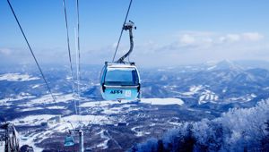 Appi Kogen Travel & Co