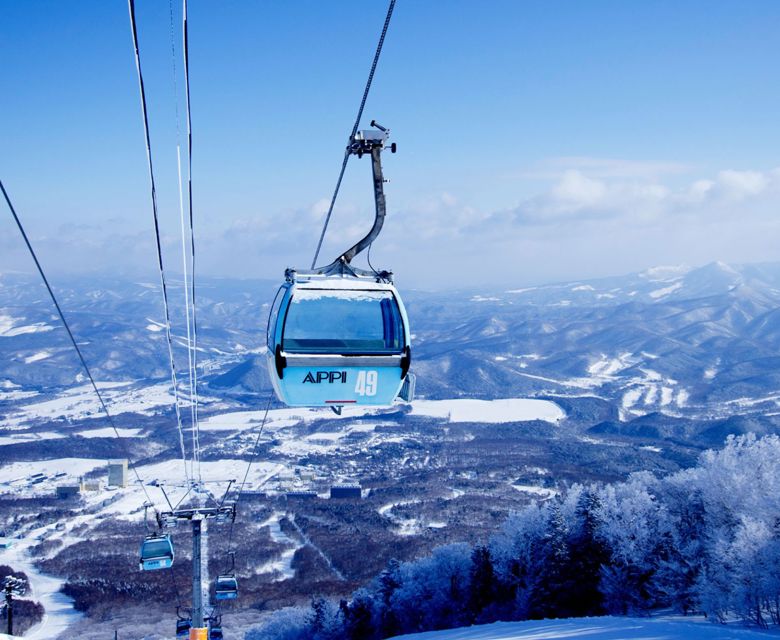 Appi Kogen Travel & Co