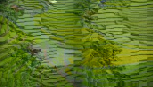 Khau Pha Pass Vietnam