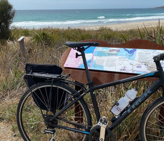 Tasmania Cycling Tour CR Tour De Vines