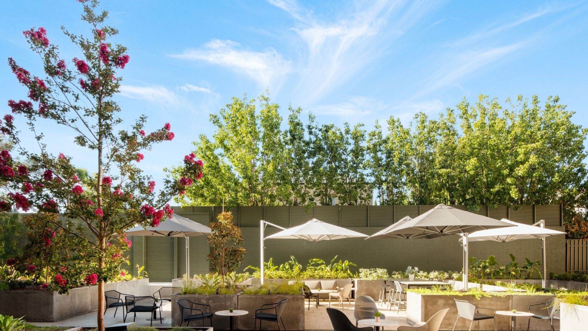 Majestic M Suites - Courtyard