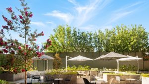 Majestic M Suites - Courtyard