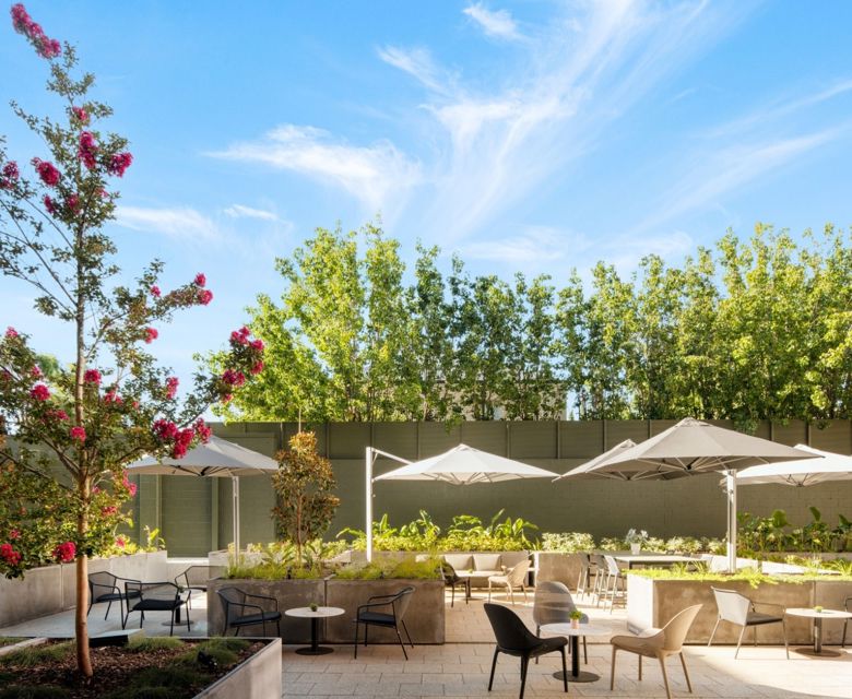 Majestic M Suites - Courtyard