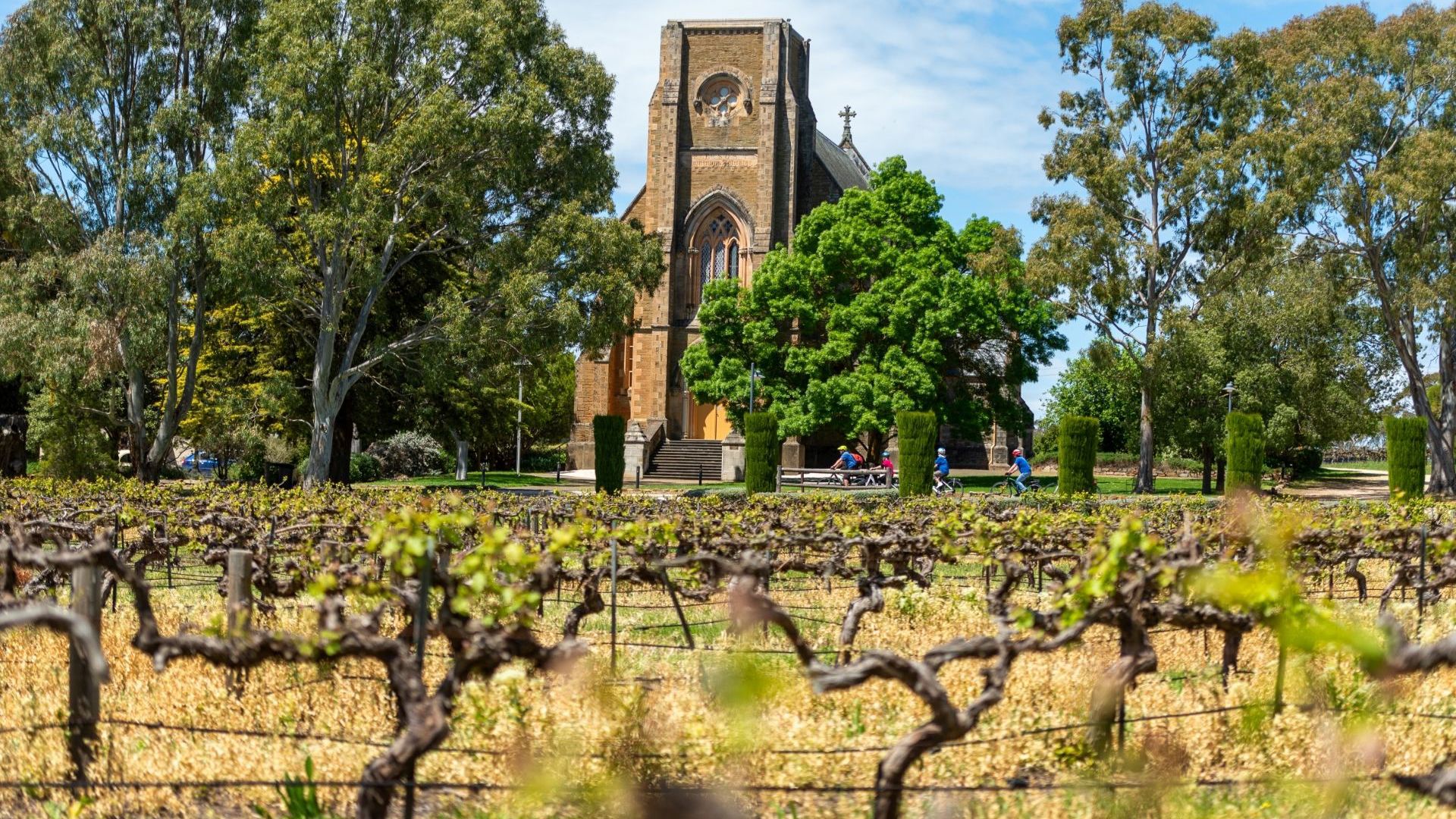 South Australia ABP2598 CR Tour De Vines