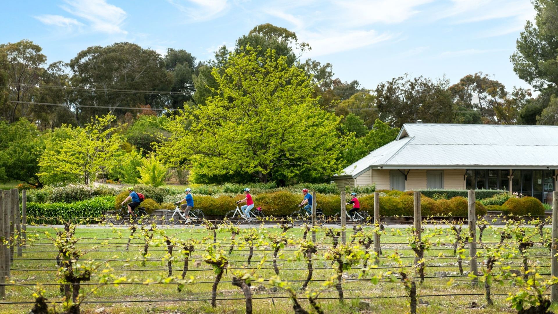 South Australia 8509515 CR Tour De Vines 