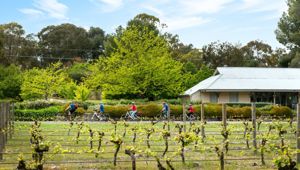 South Australia 8509515 CR Tour De Vines 