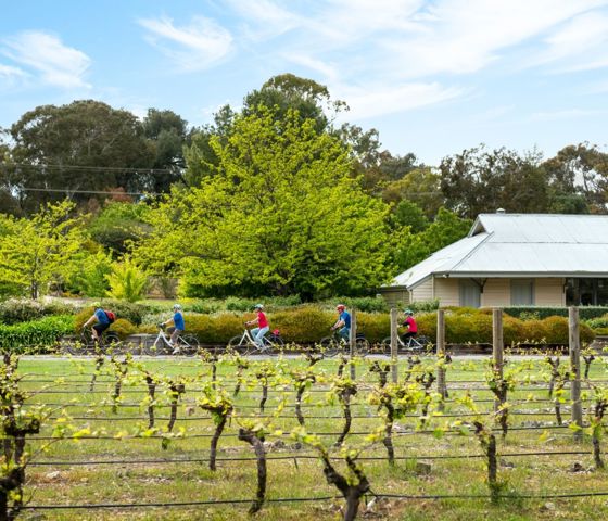 South Australia 8509515 CR Tour De Vines