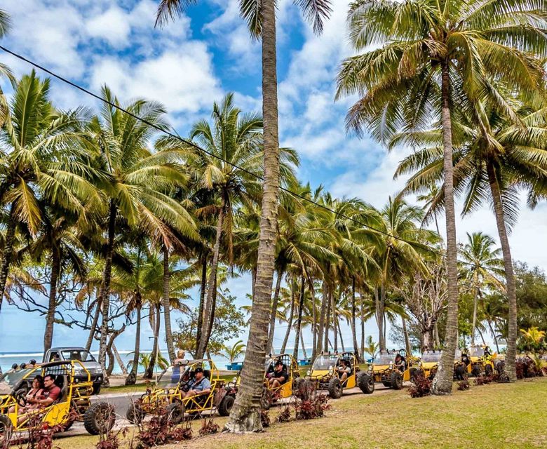 Raro Buggy Tour