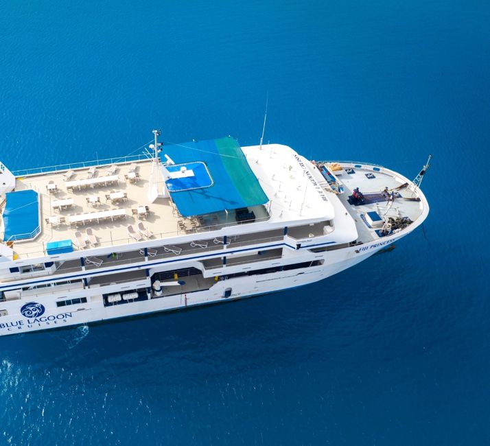 Fiji Princess BLC Aerial