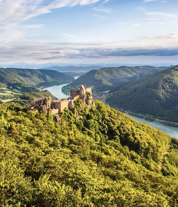 Scenic Jasper In Wachau Valley