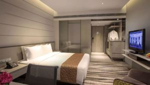 Carlton Hotel Deluxe Room