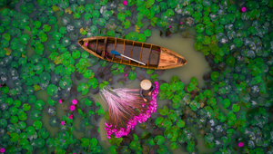 Vietnam Boat Waterlillies