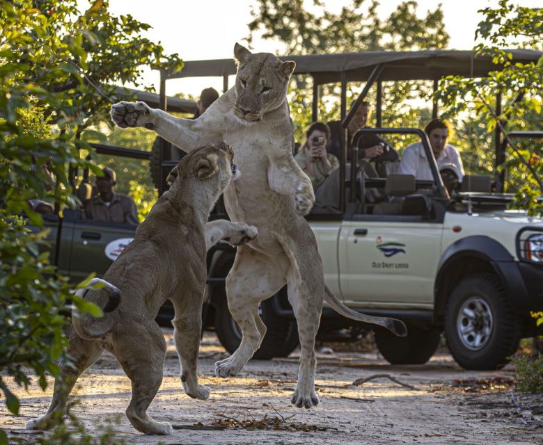 Waterfalls and Wildlife - Game Drives in the Zambezi National Park