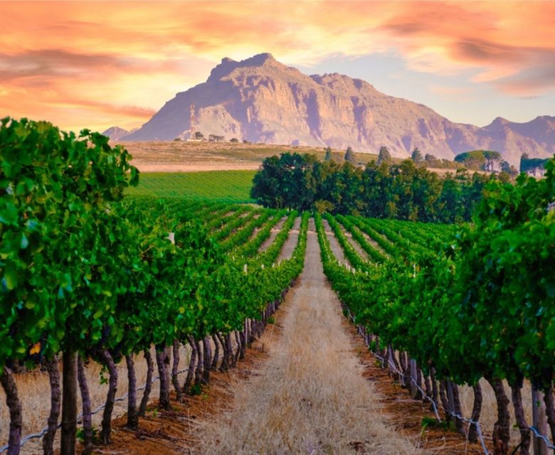 Winelands - Viva Expeditions