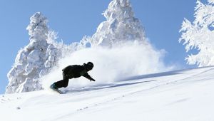 Appi Kogen Travel & Co