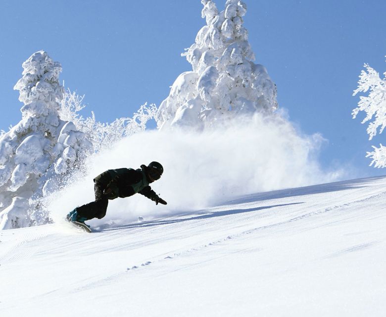 Appi Kogen Travel & Co