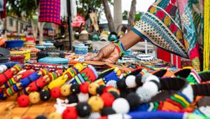 Highlights of Johannesburg with Viva Expeditions