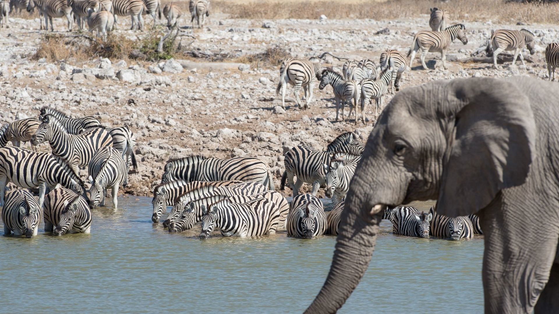 Sunway Namibia Etosha Okaukeujo. Image credit: Bruce Taylor