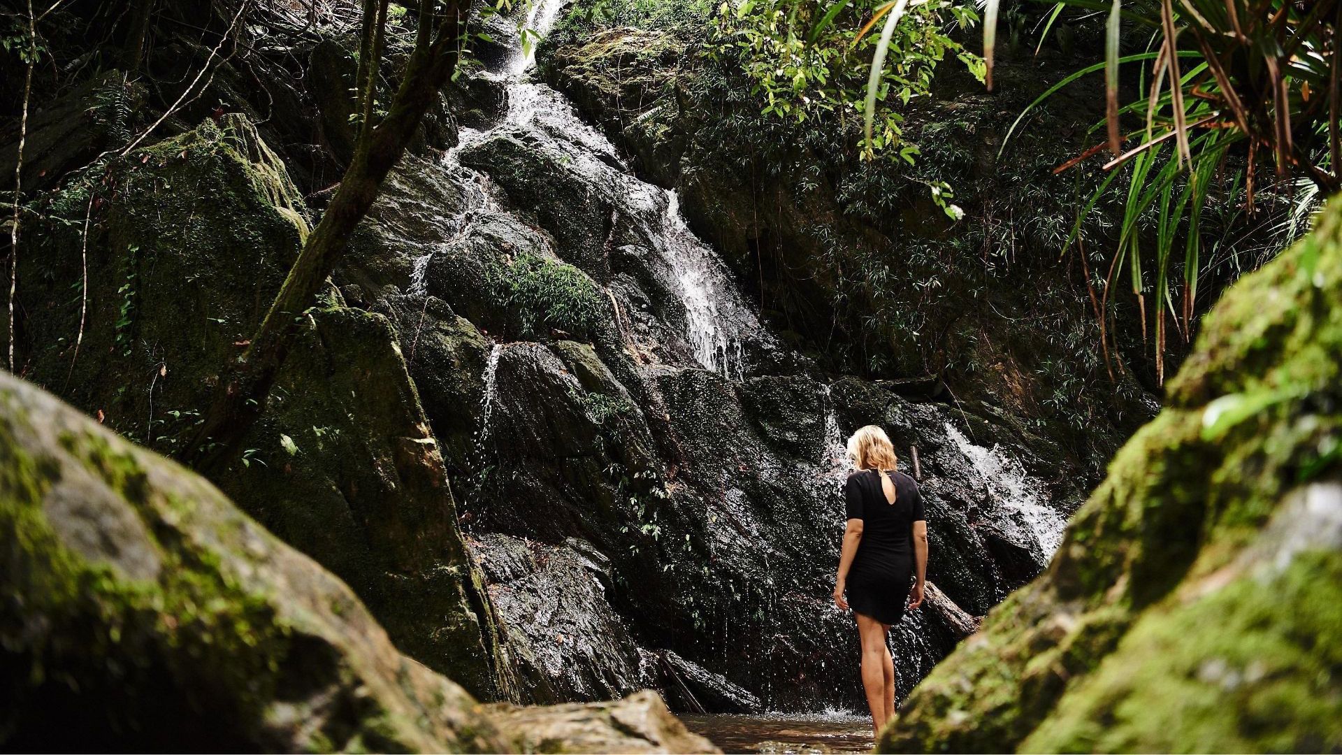 Daintree Eco Lodge - waterfall