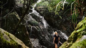 Daintree Eco Lodge - waterfall