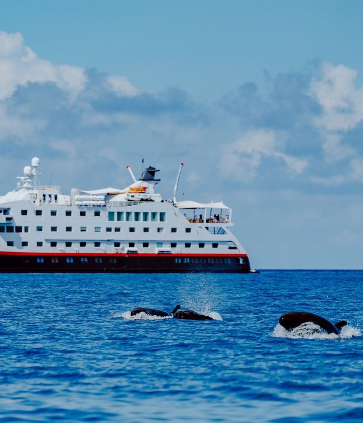 MS Santa Cruz II - Ecuador (Galápagos)