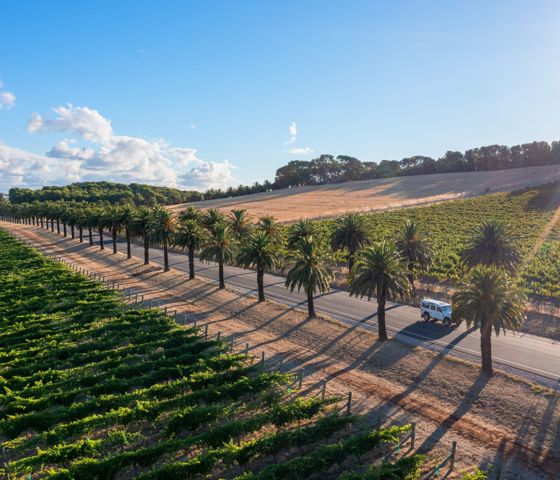 Barossa Two Hands Wines 1071413 © SATC And Tourism Australia